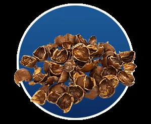 Ginger Root for Nausea and Digestion