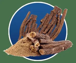 Dandelion Root for Detoxification